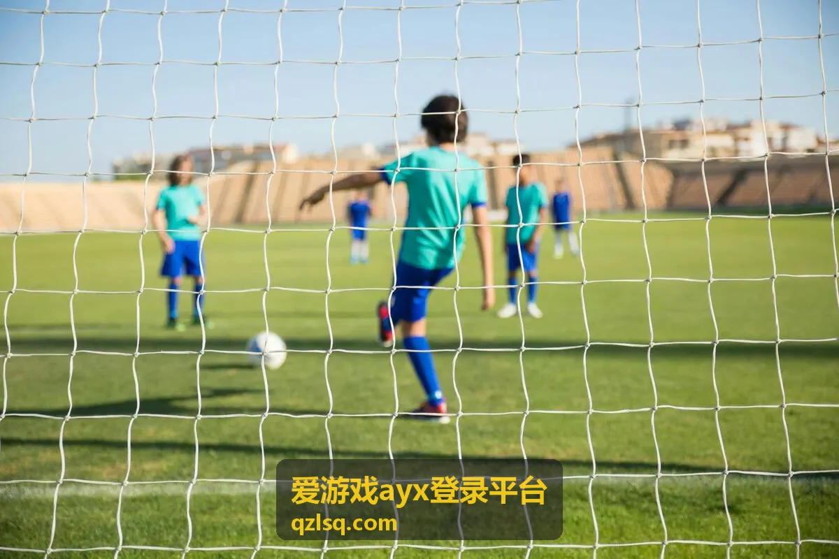 爱游戏ayx登录平台登录指引中的安全验证方式选择界面