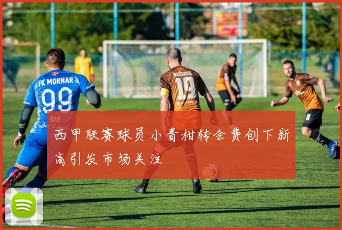 西甲联赛球员小青柑转会费创下新高引发市场关注