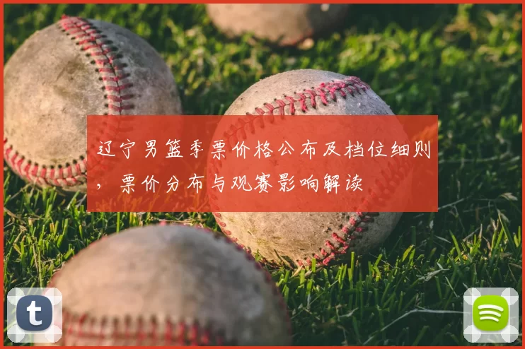 辽宁男篮季票价格公布及档位细则，票价分布与观赛影响解读