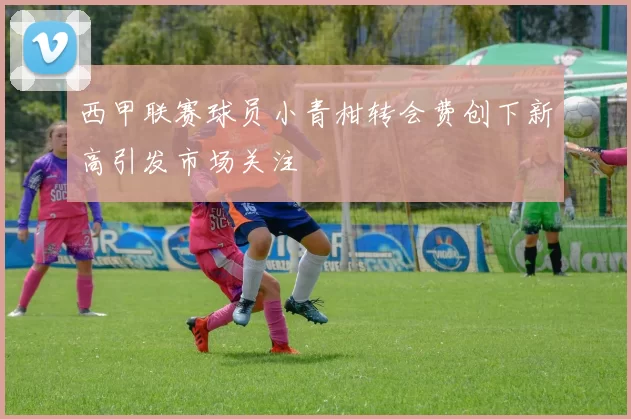 西甲联赛球员小青柑转会费创下新高引发市场关注