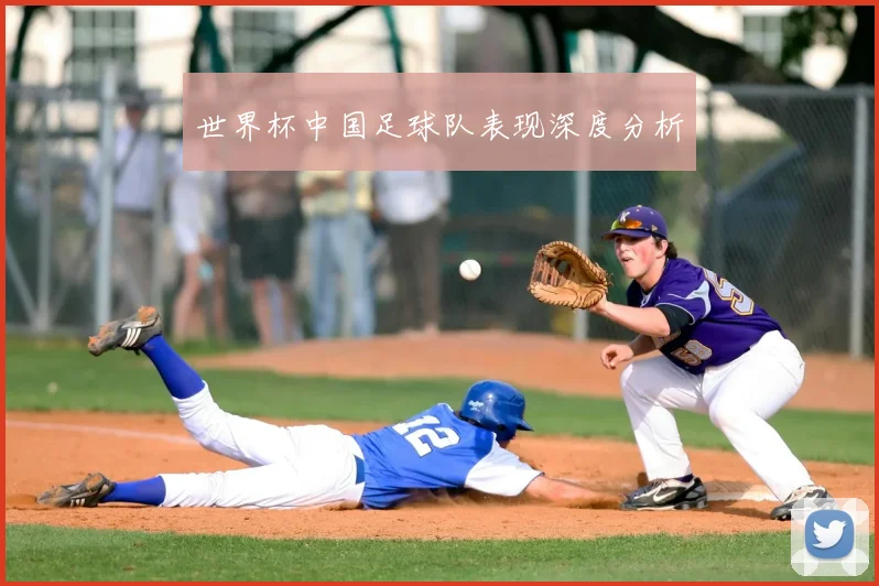 世界杯中国足球队表现深度分析