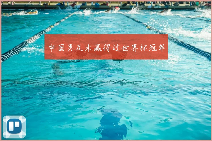 中国男足未赢得过世界杯冠军