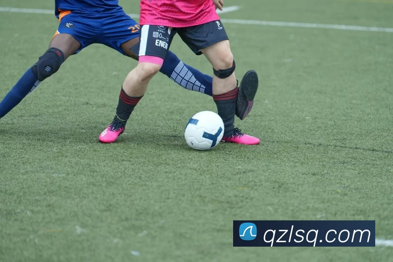 开云体云app官网登录入口 - 开云(中国)APP 高清赛事图